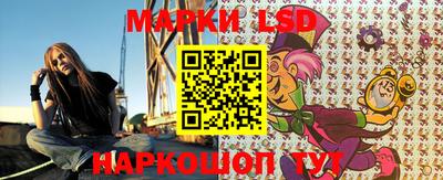 крисы Берёзовский