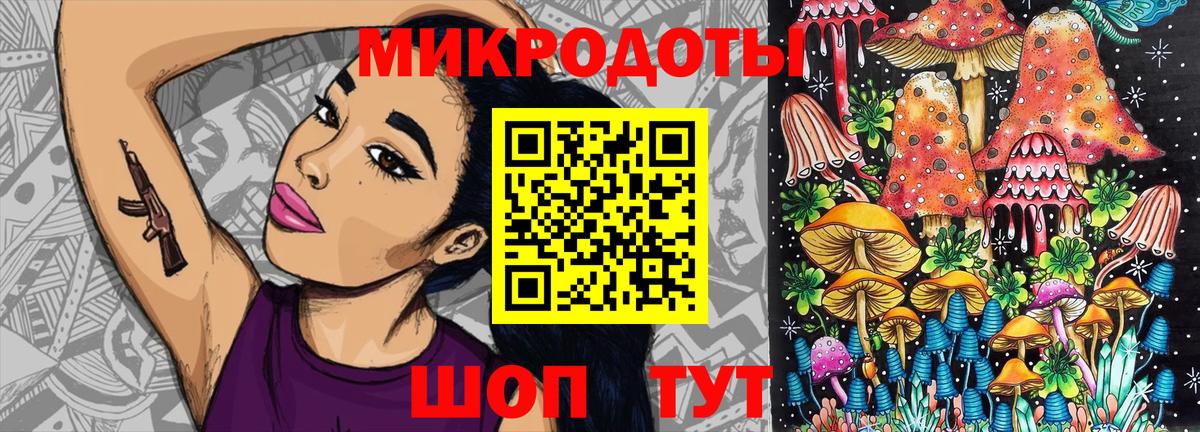 Заволжье  Галлюциногенные грибы мухоморы  Вход с VPN 