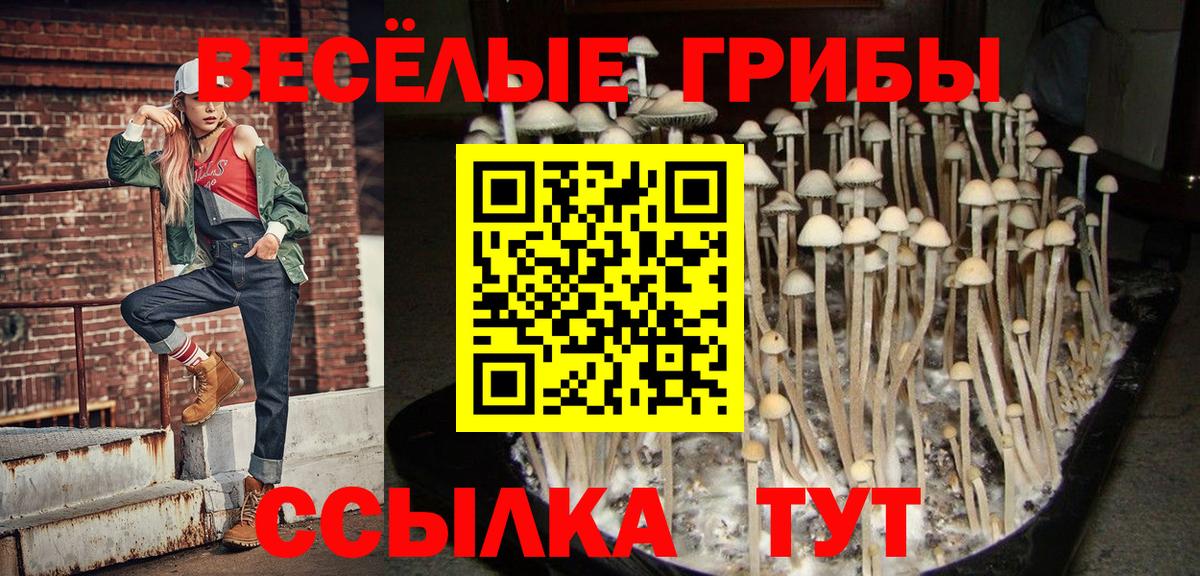 Галлюциногенные грибы мицелий Заволжье